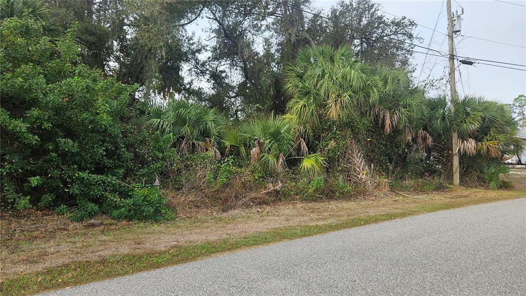 A dense, overgrown wooded lot sits beside a paved road with a utility pole nearby — NADASKY LOT #47 AVENUE, NORTH PORT, FL