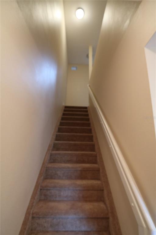 A straight staircase with brown carpet and a white handrail leads to an upper landing — 447 BAHIA BEACH BOULEVARD, RUSKIN, FL