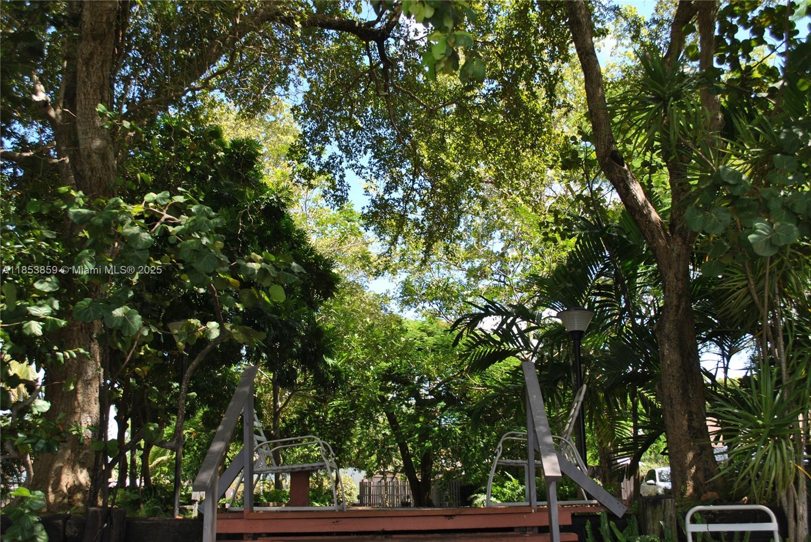 A wooden deck with two chairs is surrounded by lush trees and foliage — 19941 NE 5th Ct # 3M, Miami FL 33179, MIAMI, FL
