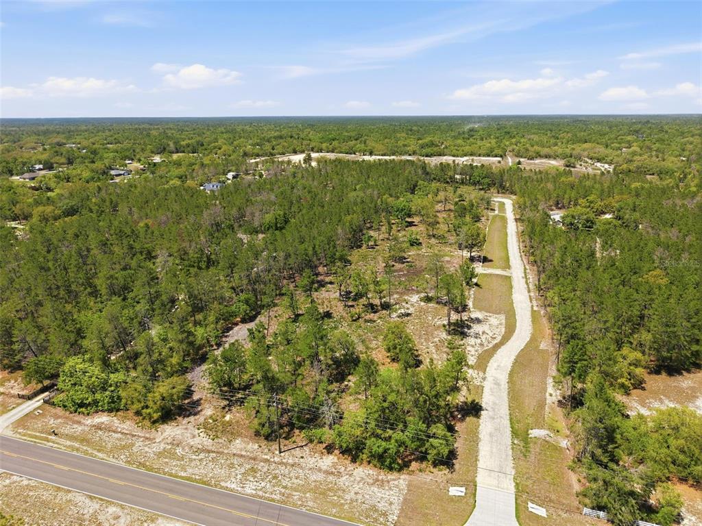 An aerial view shows a wooded lot with a paved driveway extending from a road — 13183 HAVEN (LOT 1) TRAIL, WEEKI WACHEE, FL