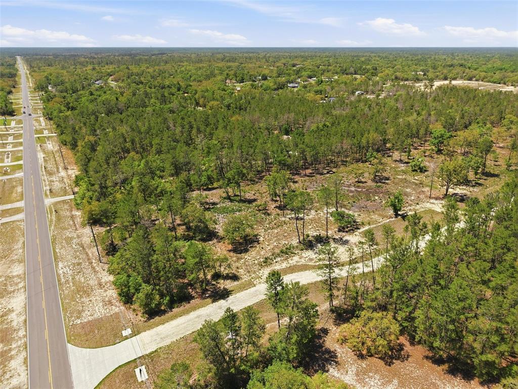 An aerial view shows a paved road bordering a large, partially wooded vacant lot — 13183 HAVEN (LOT 1) TRAIL, WEEKI WACHEE, FL