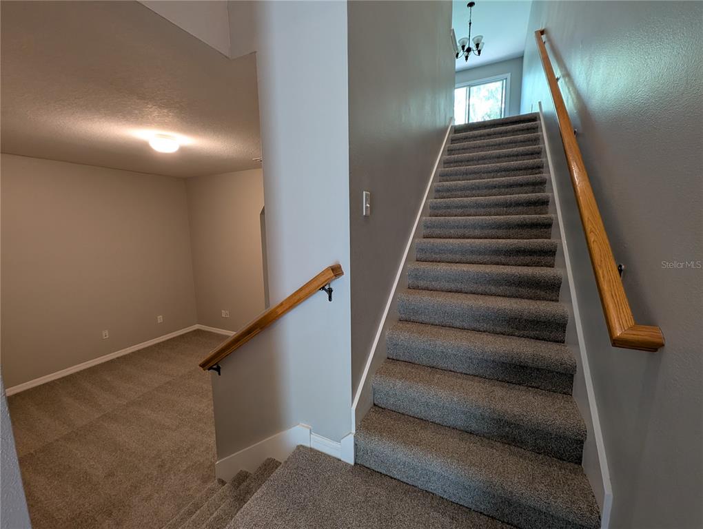 A carpeted staircase with wooden handrails leads upward next to a small, carpeted landing area — 8319 KING BLOSSOM COURT, TAMPA, FL