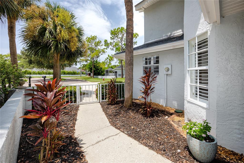 A concrete walkway leads to a white gate beside a house with a palm tree — 1966 PLANTATION BOULEVARD, CLEARWATER, FL