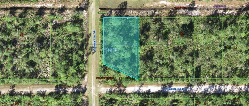 This is a map showing a highlighted vacant lot located at a street intersection — 224 CAMELLIA DRIVE, INDIAN LAKE ESTATES, FL