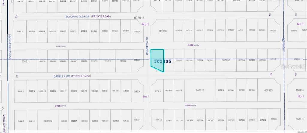 This is a map showing a highlighted parcel of land within a residential subdivision — 224 CAMELLIA DRIVE, INDIAN LAKE ESTATES, FL