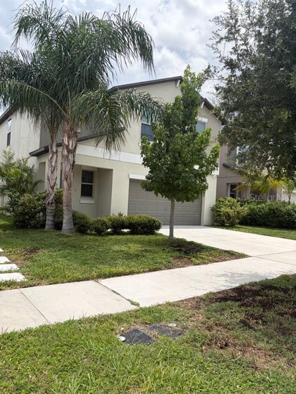 A two-story house with a palm tree, a front lawn, and a concrete driveway — 16650 KINGMAN REEF STREET, WIMAUMA, FL