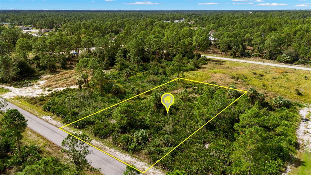 An aerial view shows a rectangular, undeveloped wooded lot outlined in yellow near a road — 1217 MAGNOLIA AVENUE, LEHIGH ACRES, FL