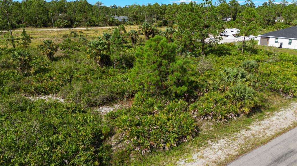 An aerial view of a vacant, wooded residential lot next to a paved road — 1217 MAGNOLIA AVENUE, LEHIGH ACRES, FL