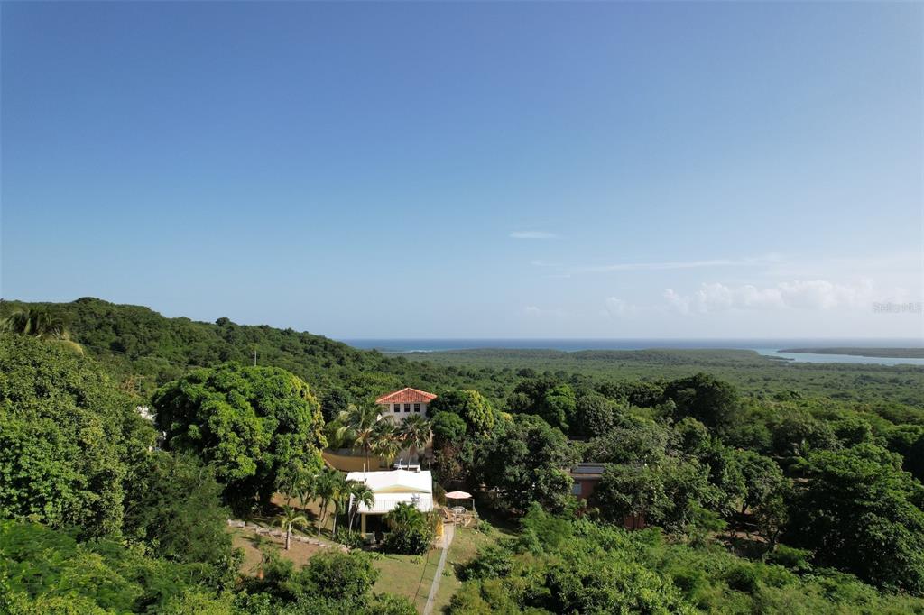 An elevated view of a house surrounded by dense green trees overlooking the ocean — Number 28 DESTINO, VIEQUES, PR