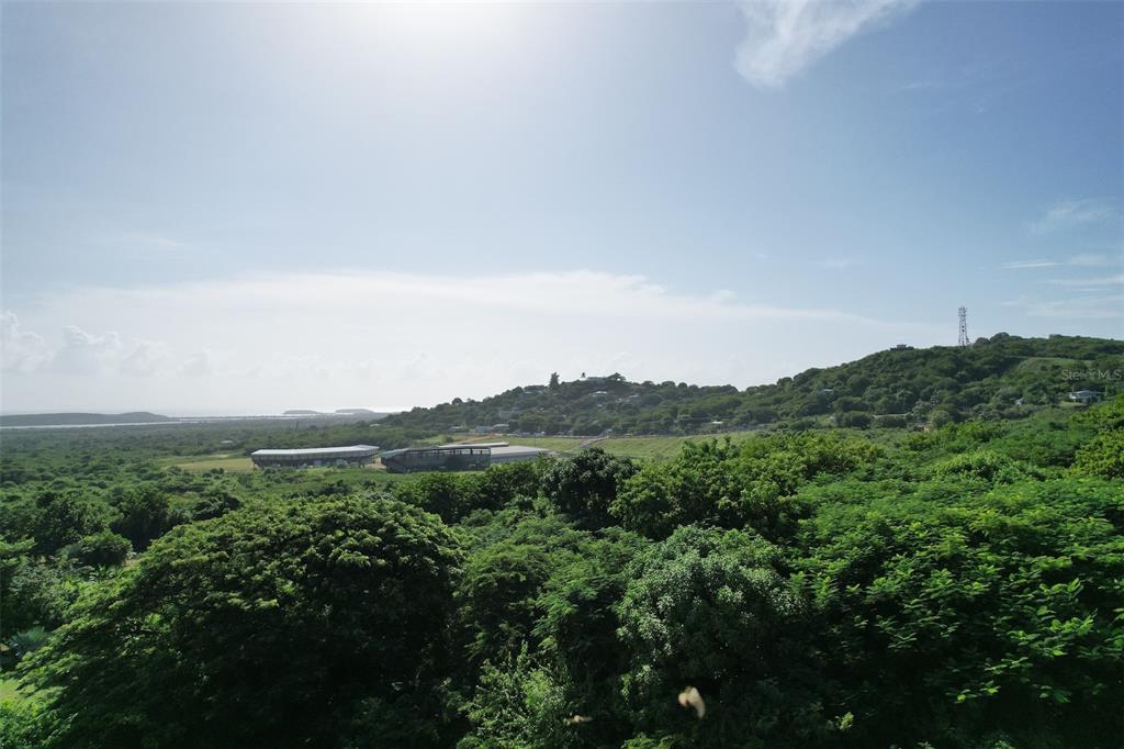 A wide-angle view of a lush green hillside landscape under a bright, sunny sky — Number 28 DESTINO, VIEQUES, PR