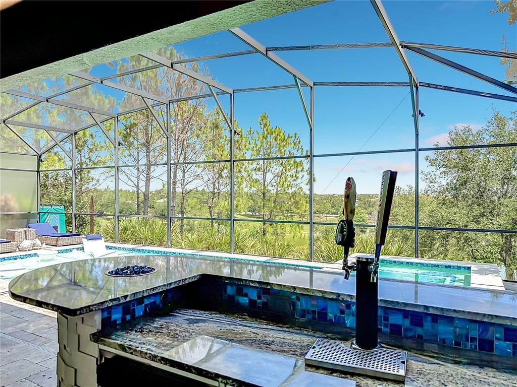 An aerial view of a two-story house with a screened-in pool and backyard patio — 14591 BLACK QUILL DRIVE, WINTER GARDEN, FL