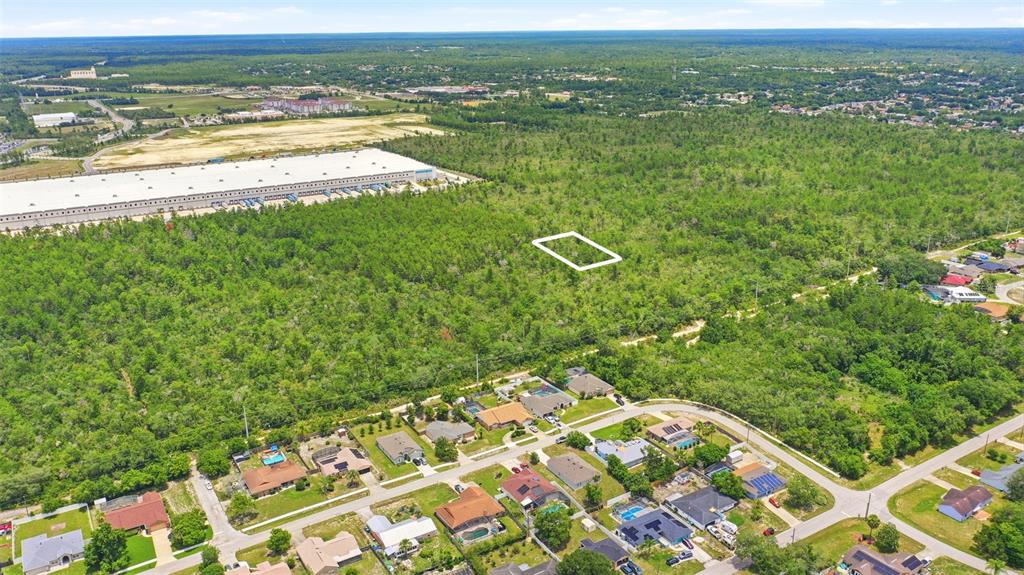 An aerial view shows a residential neighborhood bordering a large expanse of undeveloped forest land — EDGEMONT (PAPER) AVENUE, DELTONA, FL