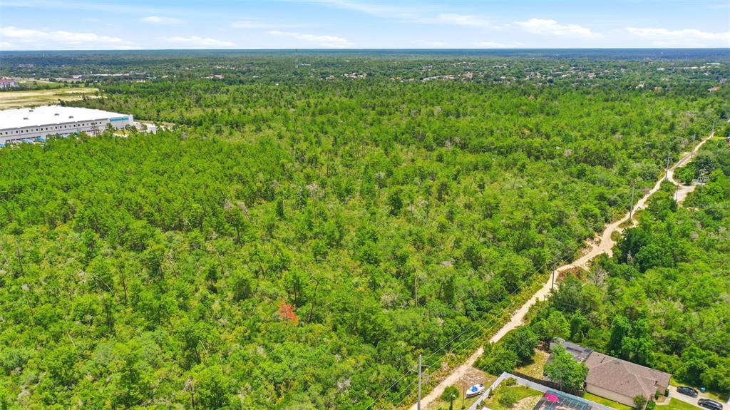 An aerial view shows a large, undeveloped wooded lot marked with a white outline — EDGEMONT (PAPER) AVENUE, DELTONA, FL