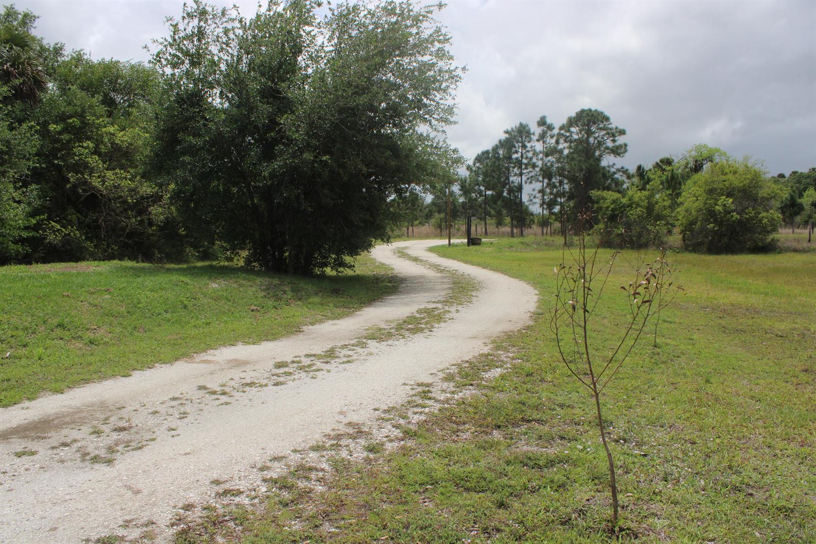 A winding gravel driveway leads through a grassy field toward a line of pine trees — 15367 NW 296th Street, Okeechobee FL 34972, OKEECHOBEE, FL