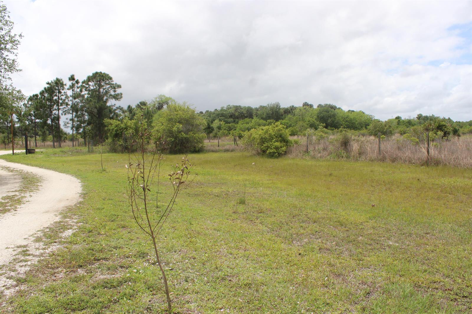 A dirt path curves through a grassy field toward a line of trees and shrubs — 15367 NW 296th Street, Okeechobee FL 34972, OKEECHOBEE, FL