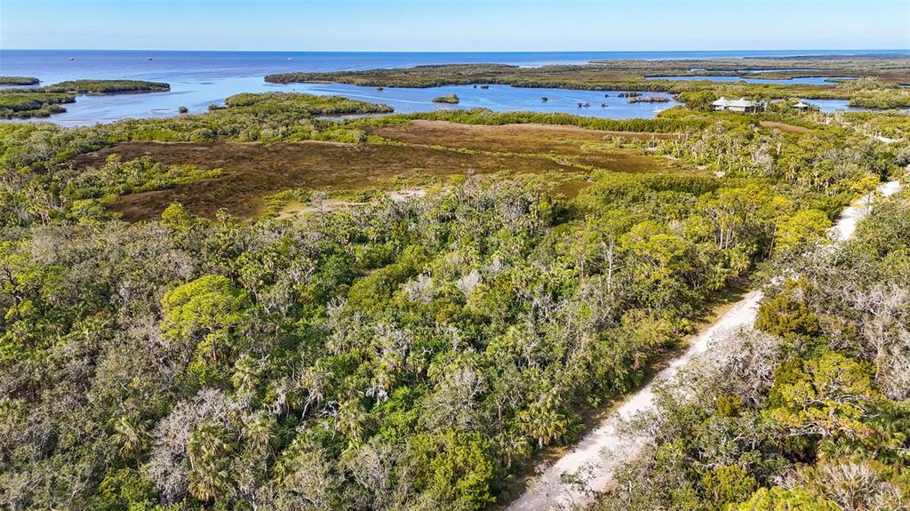 An aerial view shows a dirt road winding through a dense, wooded coastal landscape — OLD POST ROAD, PORT RICHEY, FL