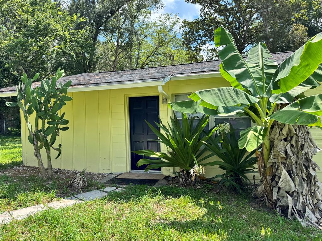 A yellow house exterior features a dark door, a cactus, and a large banana plant — 921 NW 55TH TERRACE, GAINESVILLE, FL