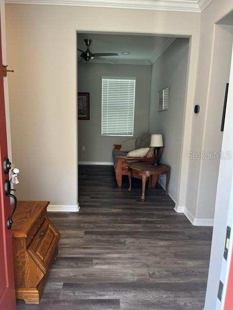 A view from a doorway into a room with wood-look flooring and a window — 7285 SW 86TH COURT, OCALA, FL