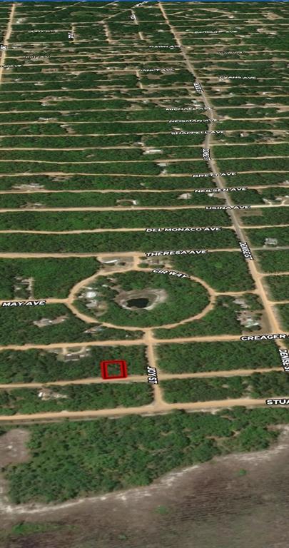 This aerial map shows a vacant lot outlined in red within a wooded residential area — LOT 19 SELMA AVENUE, INTERLACHEN, FL
