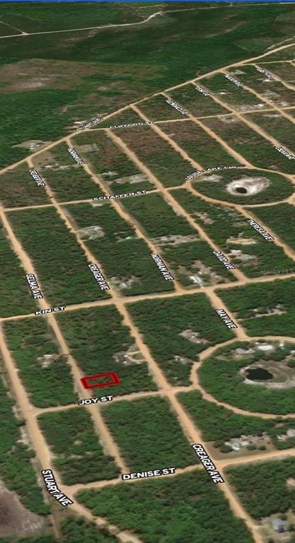 An aerial map view shows a rectangular lot outlined in red within a wooded neighborhood — LOT 19 SELMA AVENUE, INTERLACHEN, FL