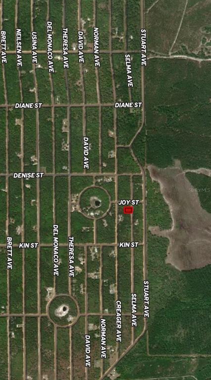 This is an aerial map showing a rectangular property lot highlighted in red — LOT 19 SELMA AVENUE, INTERLACHEN, FL