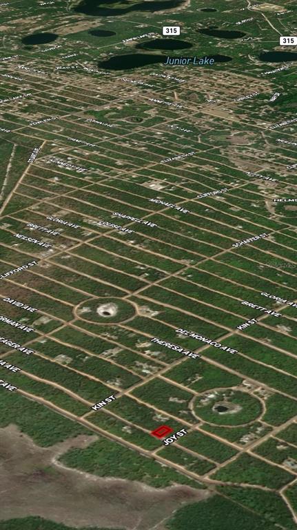 An aerial map view shows a highlighted rectangular property lot surrounded by wooded residential streets — LOT 19 SELMA AVENUE, INTERLACHEN, FL