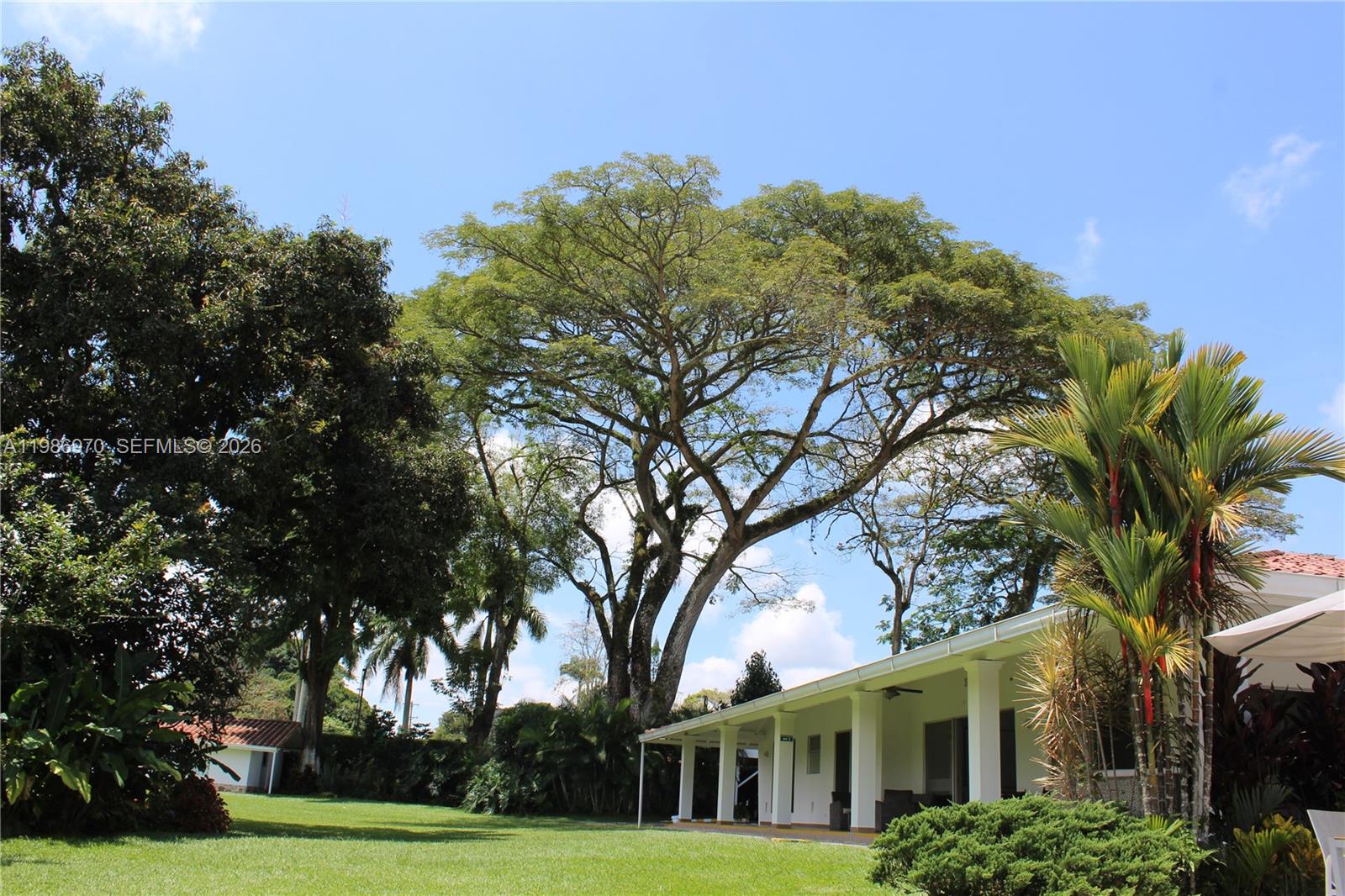 A large tree towers over a grassy lawn next to a white house with a porch — 00 N Outside of Country, FL