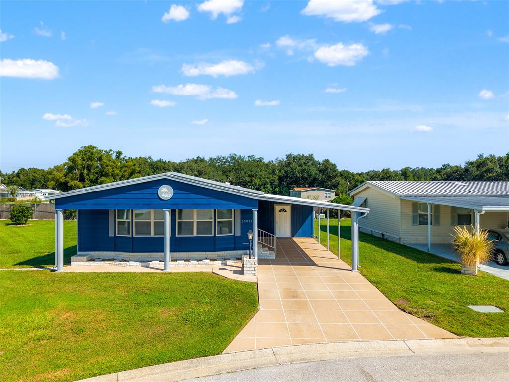 35021 MCCULLOUGHS LEAP