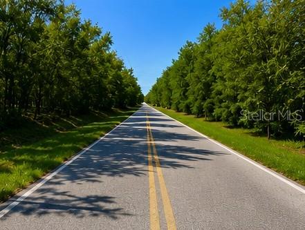 A paved road stretches into the distance, flanked by dense green trees on both sides — 15130 SPOKANE ROAD, SPRING HILL, FL