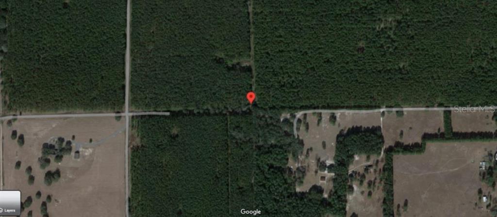 This is a satellite map view of a wooded lot marked with a red pin — GAINESVILLE AVE, NEWBERRY, FL