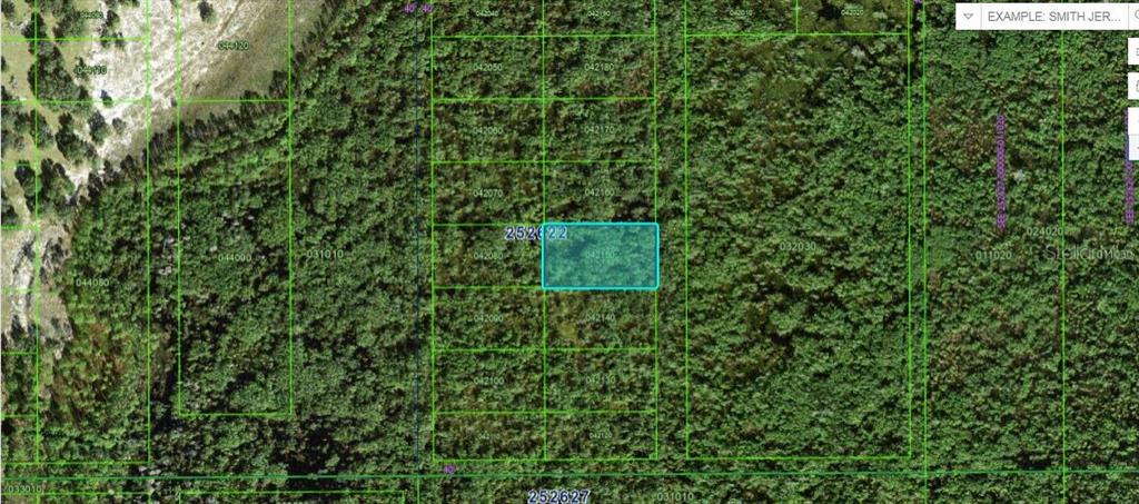 This is a satellite map view showing a highlighted rectangular parcel of undeveloped wooded land — COMMONWEALLTH AVE N, POLK CITY, FL