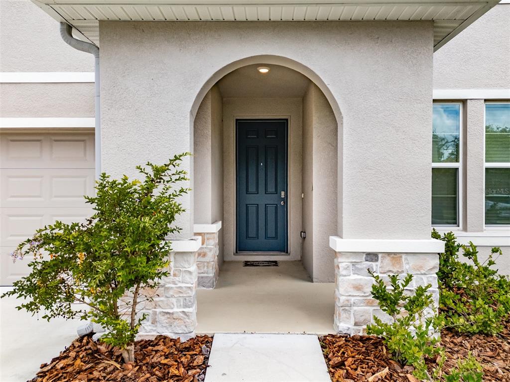 The exterior view shows a front entryway with a blue door, stone accents, and landscaping — 13090 BROOKSIDE MOSS DRIVE, RIVERVIEW, FL