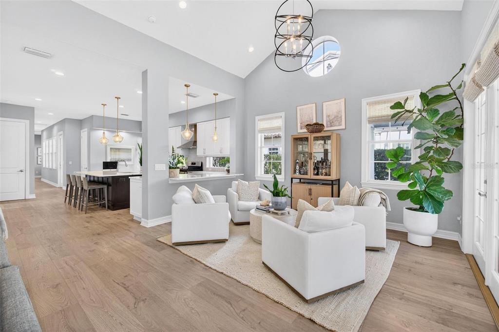 A bright living room with white armchairs, a large fiddle leaf fig, and vaulted ceilings — 6054 YEATS MANOR DRIVE, TAMPA, FL