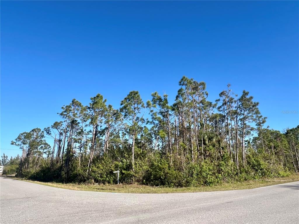 A corner lot with dense trees and vegetation sits at the intersection of two roads — 15249 RED HEAD AVENUE, PORT CHARLOTTE, FL