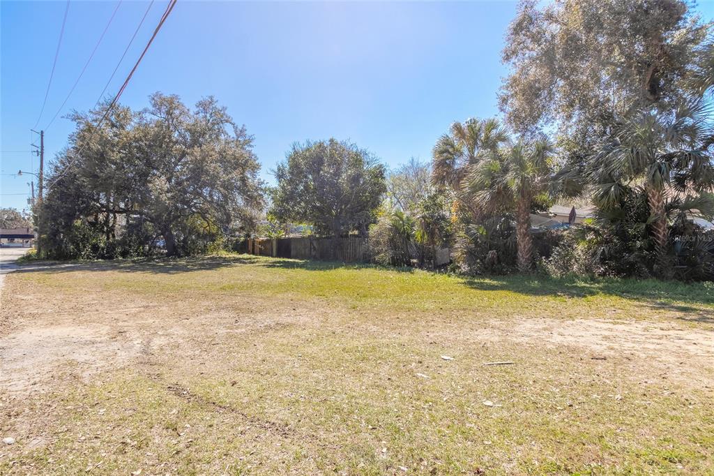 A vacant, grassy lot with mature trees and palms under a clear blue sky — 124 DIMMICK STREET, NEW SMYRNA BEACH, FL