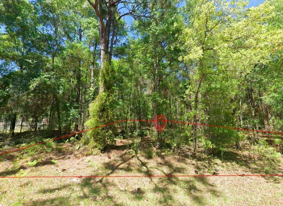 A wooded lot with a red outline indicating the property boundaries — 2581 W PHARAOH COURT UNIT 28, LECANTO, FL