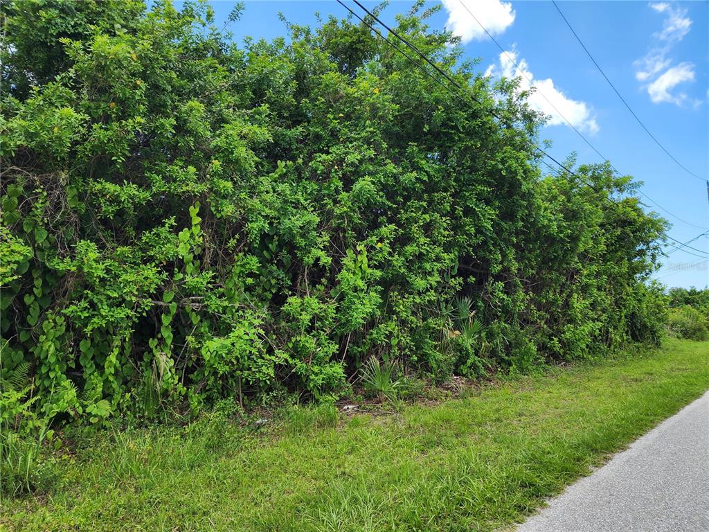 A dense wall of green trees and shrubs borders a paved road under a sky — 11256 PENDLETON AVENUE, ENGLEWOOD, FL