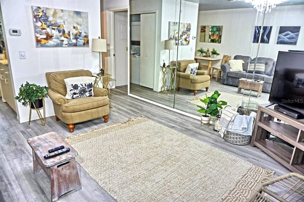 A living room features a beige armchair, a textured area rug, and mirrored closet doors — 2210 VISTA DEL SOL CIRCLE UNIT 520, LUTZ, FL