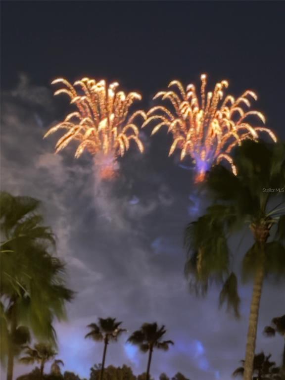 Two large fireworks displays illuminate the night sky above silhouettes of palm trees — 130 REEF ROAD, SOUTH DAYTONA, FL