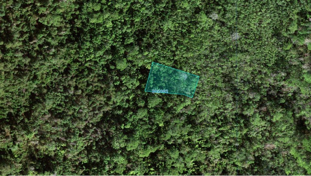 An aerial view of a wooded lot outlined in blue with the number 282802 — 28-28-02-934710-003070 PERCH DRIVE, POINCIANA, FL