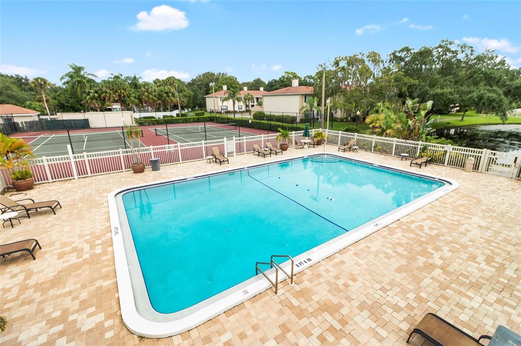 An outdoor swimming pool with a paved deck sits adjacent to a tennis court — 3402 LATANIA DRIVE UNIT 321, TAMPA, FL