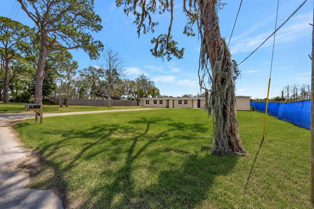 A single-story building sits at the end of a large grassy yard with pine trees — 5100 SOUTH ROAD, NEW PORT RICHEY, FL