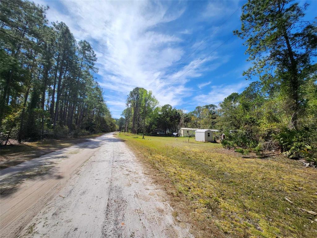 A dirt road runs alongside a grassy lot with a small shed and trees — 116 MOSSWOOD STREET, GEORGETOWN, FL