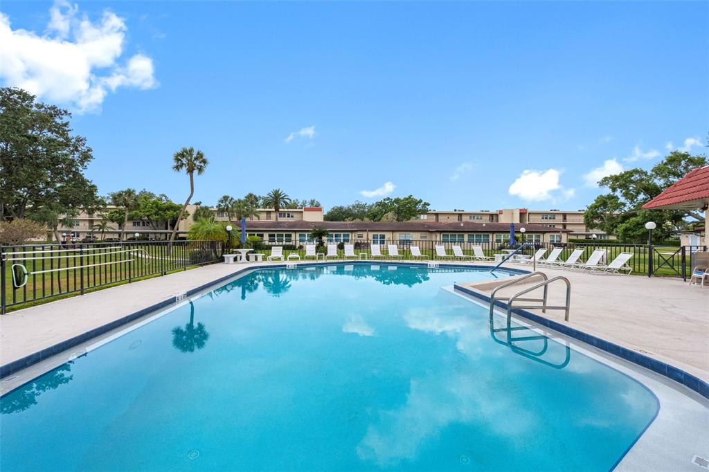 A rectangular swimming pool sits in front of a multi-story apartment building with lounge chairs — 12200 VONN ROAD UNIT 6B, LARGO, FL