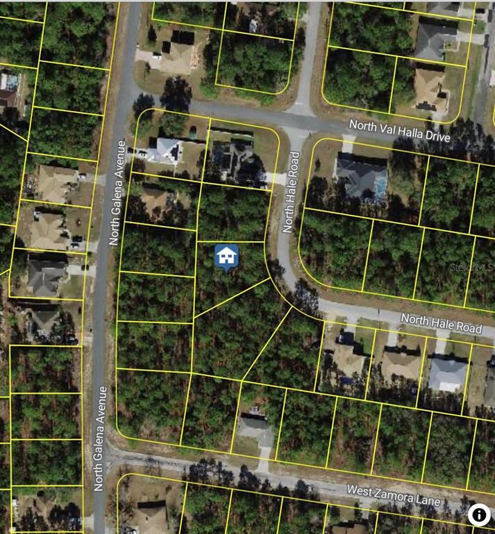 This is an aerial map showing a vacant residential lot marked with a house icon — 7852 N HALE ROAD, CITRUS SPRINGS, FL