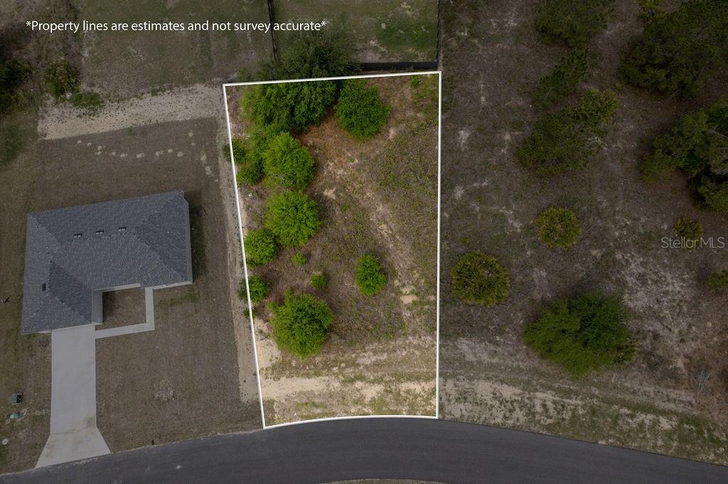 An aerial view shows a vacant, wooded residential lot bordered by a paved road — SW 58 TER, OCALA, FL
