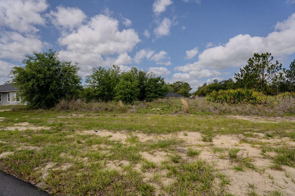 A vacant, grassy lot with scattered brush and trees under a partly cloudy sky — SW 58 TER, OCALA, FL