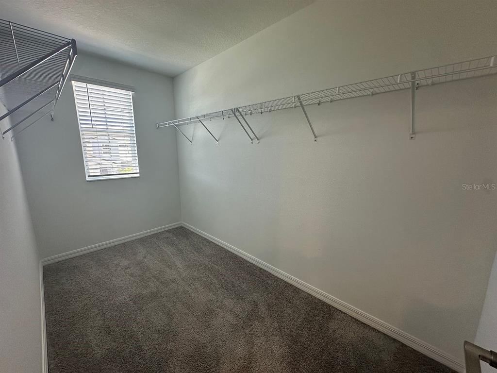 A walk-in closet with gray carpeting, white walls, and wire shelving — 2505 VICTORIOUS FALLS AVENUE, PLANT CITY, FL