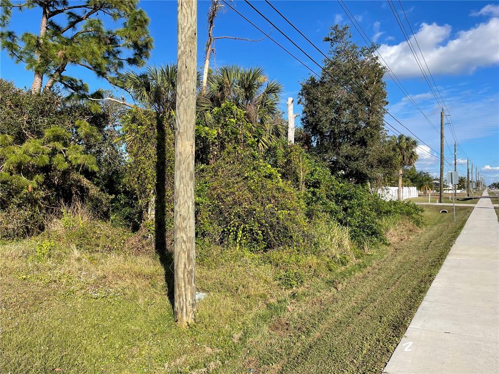A utility pole stands in front of a densely overgrown, wooded vacant lot beside a sidewalk — 21086 PEACHLAND BOULEVARD, PORT CHARLOTTE, FL