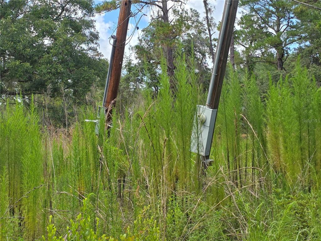 Two utility poles with electrical meters stand in a field of tall grass and trees — 4863 MEADOW GREEN ROAD, MIMS, FL